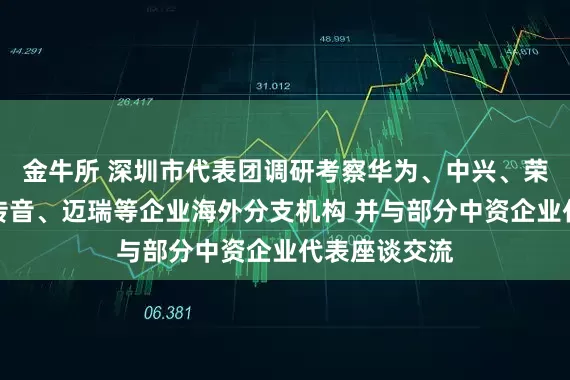 金牛所 深圳市代表团调研考察华为、中兴、荣耀、创维、传音、迈瑞等企业海外分支机构 并与部分中资企业代表座谈交流